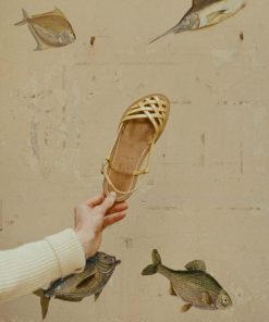 Northpace.shopa19855d6ec 1