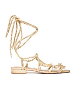 Northpace.shopbf5d85313f 5